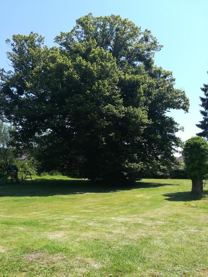 Chateau Gruchet Le Valasse Exterior foto